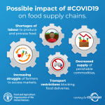 Keeping global food chains alive is crucial amid COVID-19 crisis 